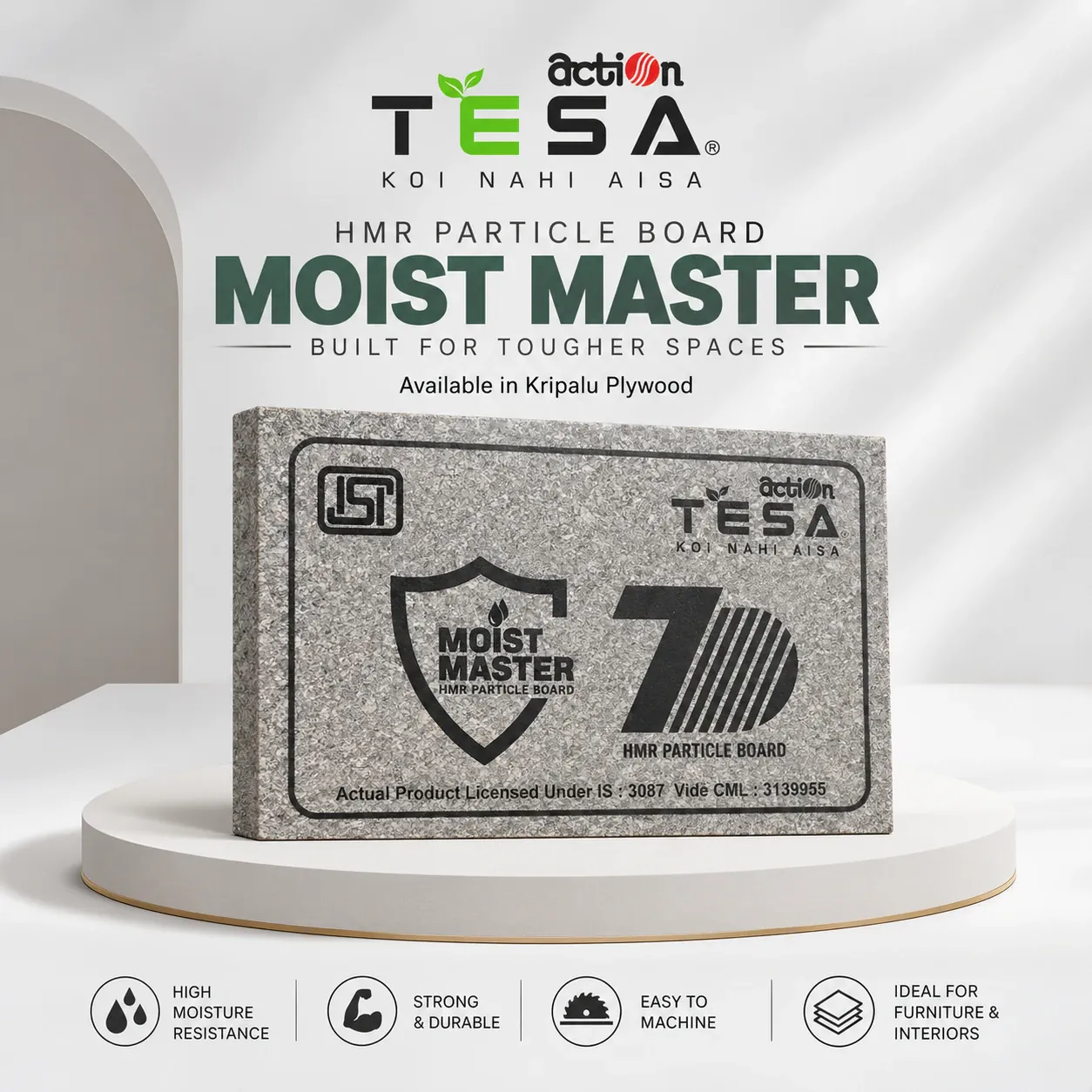 Action TESA Moist Master HMR particle board at Kripalu Plywood, Kanpur