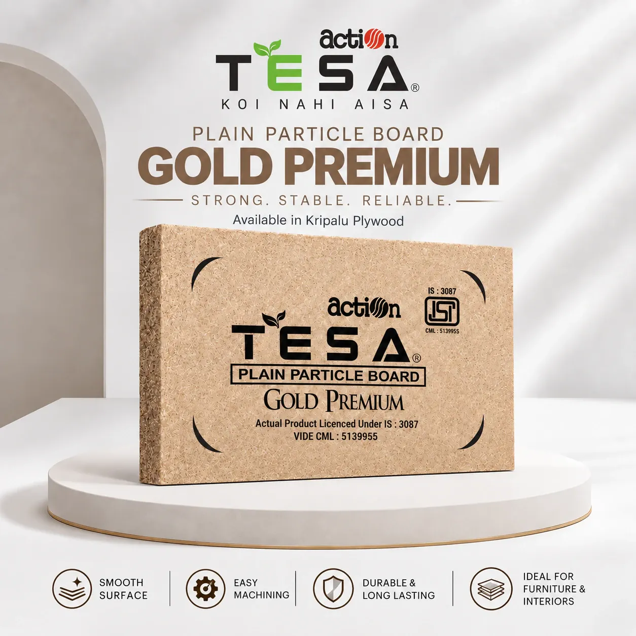 Action TESA particle board at Kripalu Plywood, Kanpur