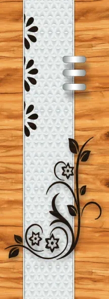 Z-on digital door design ZD-201