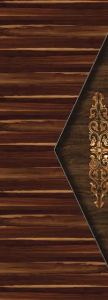 Z-on digital door design ZD-202