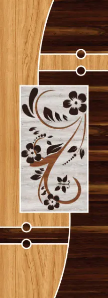 Z-on digital door design ZD-203