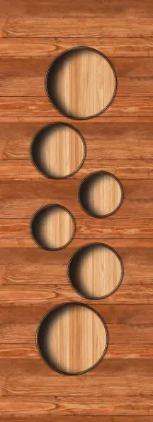 Z-on digital door design ZD-206