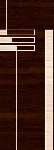 Z-on digital door design ZD-208