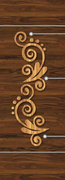 Z-on digital door design ZD-214